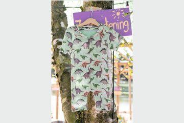 Badeanzugstoff, Bade Jersey, Swimwear, UPF50, Dinosaurier, hellgrün, 0,5 m
